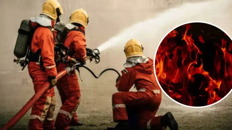 पश्चिमी दिल्ली में टिंबर गोदाम में भीषण आग, 25 दमकल गाड़ियां मौके पर; कोई हताहत नहीं