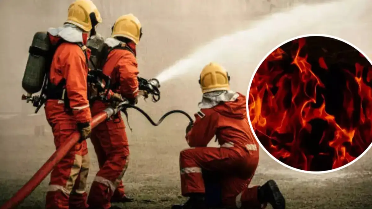 पश्चिमी दिल्ली में टिंबर गोदाम में भीषण आग, 25 दमकल गाड़ियां मौके पर; कोई हताहत नहीं