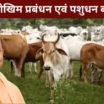 मुख्यमंत्री जोखिम प्रबंधन एवं पशुधन बीमा योजना हेतु 10 करोड़ रूपये की धनराशि स्वीकृत