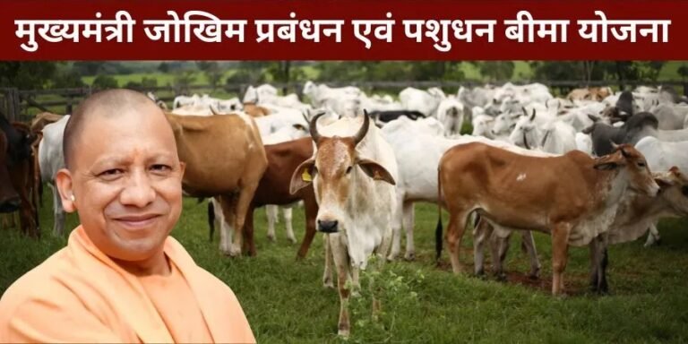 मुख्यमंत्री जोखिम प्रबंधन एवं पशुधन बीमा योजना हेतु 10 करोड़ रूपये की धनराशि स्वीकृत
