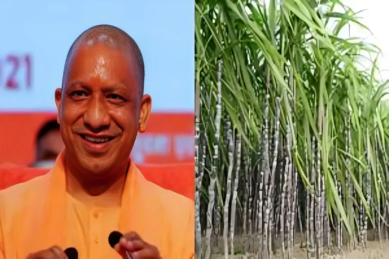 गन्ना विकास विभाग द्वारा पारदर्शी ऑनलाइन विभागीय परीक्षा का सफल आयोजन