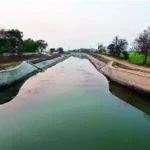 झांसी जिले में गुरसराय नहर से बड़वार झील तक निर्मित नहर से किसानों के खेत तक पहुँचा पानी